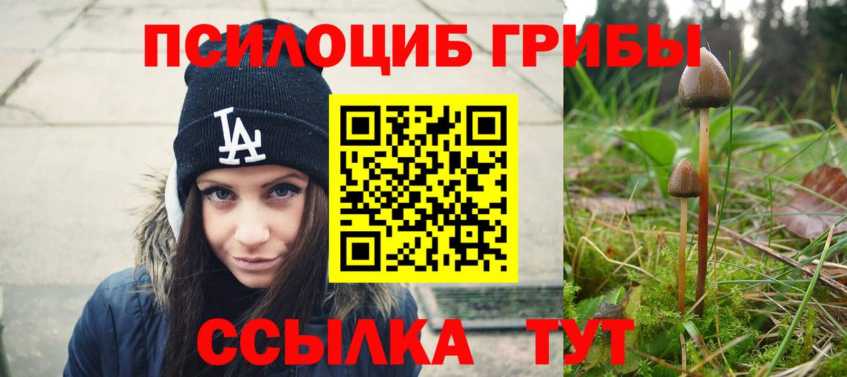Галлюциногенные грибы MAGIC MUSHROOMS  что такое наркотик  Вход с VPN  Людиново  Галлюциногенные грибы GOLDEN TEACHER 