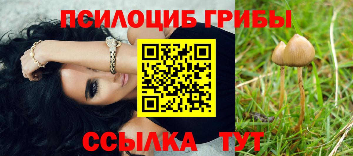 Псилоцибиновые грибы Cubensis Людиново